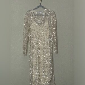 NWOT Zara sequin dress